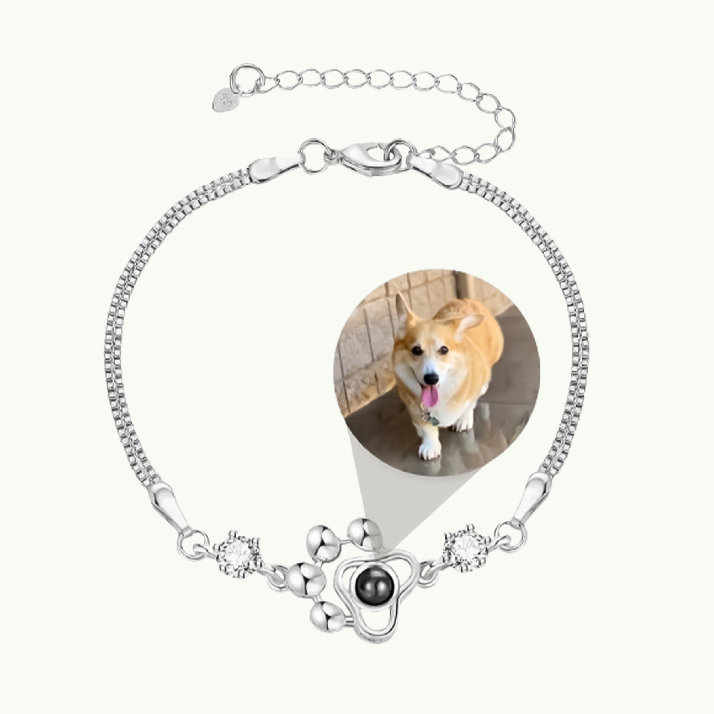 Pet Paw Memorial Photo Projection Bracelet with Hidden Picture