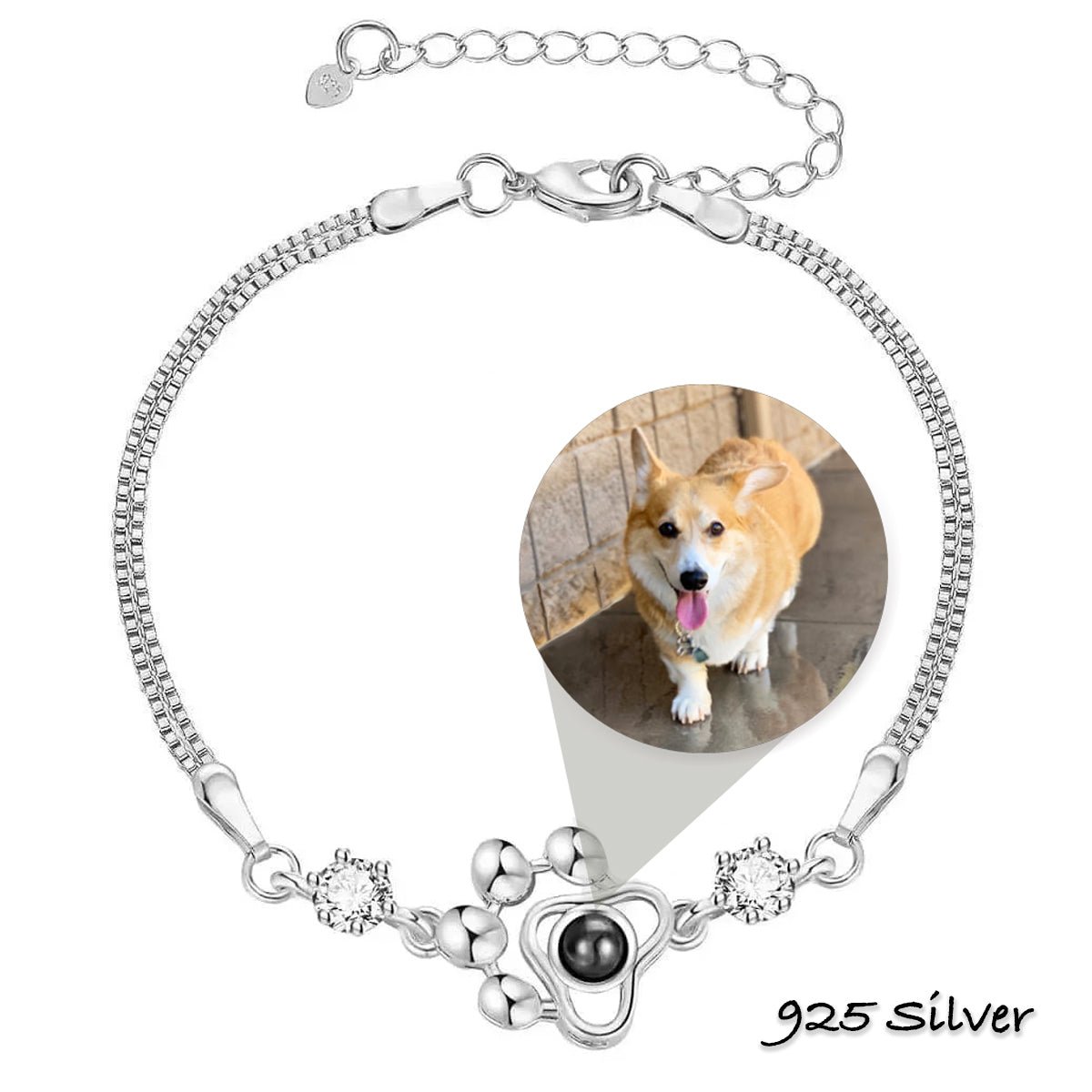 Pet Paw Memorial Photo Projection Bracelet with Hidden Picture